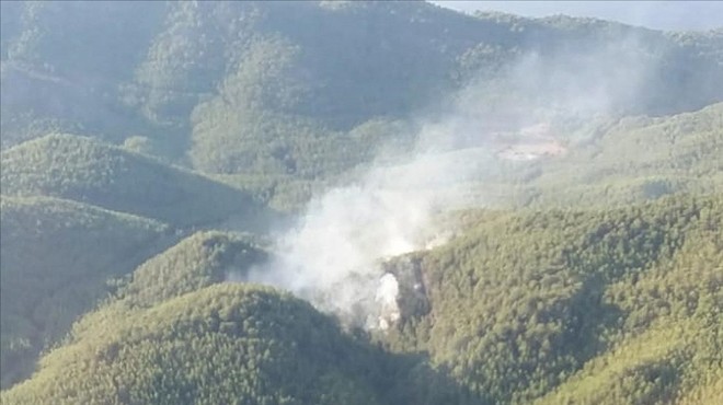 Orman yangını söndürüldü: 1 hektar alan zarar gördü 